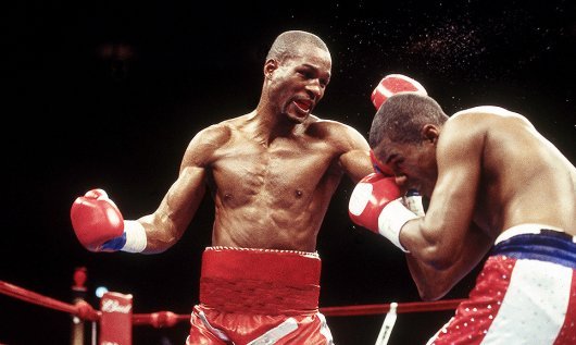 hopkins-trinidad_sharpen-530x317-530x317