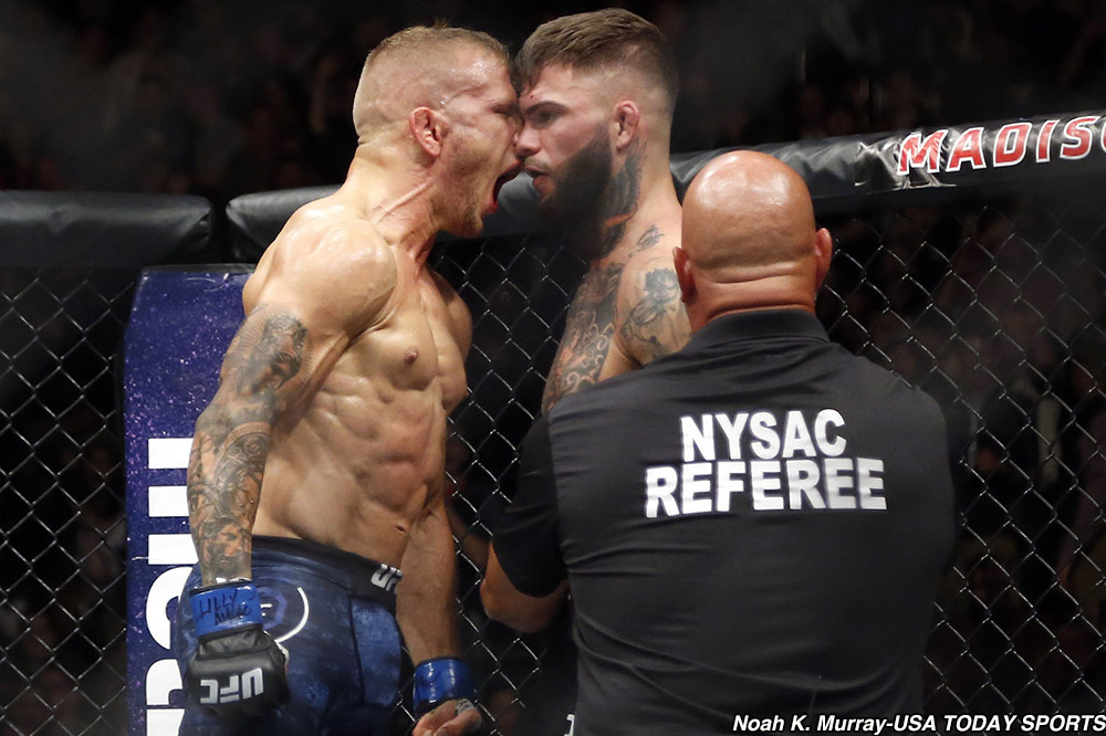 MMA: UFC 217-Garbrandt vs Dillashaw